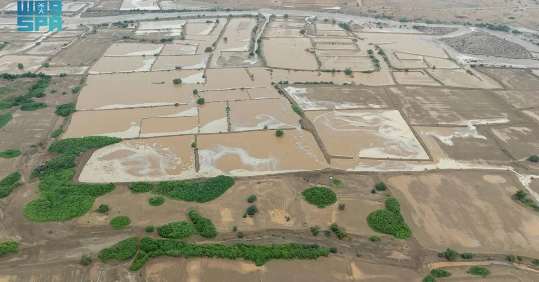 Doga Valleys in Makkah Come Alive After Rains