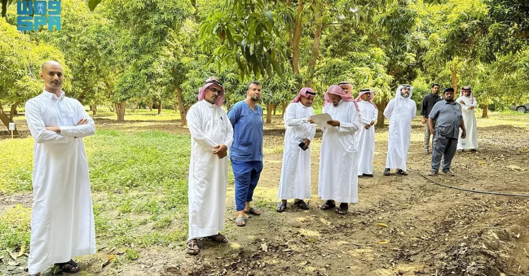 Reef Saudi Concludes Irrigation Training Program for Aromatic Crops in Jazan