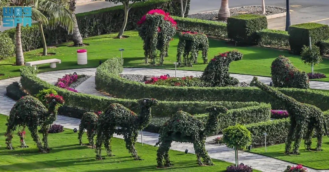 Green Arts Park in KAEC Merges Creativity with Nature
