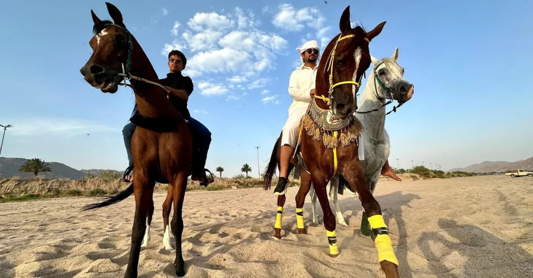Najran Youth Embrace Equestrian Tradition, Boosting Heritage and Wellness
