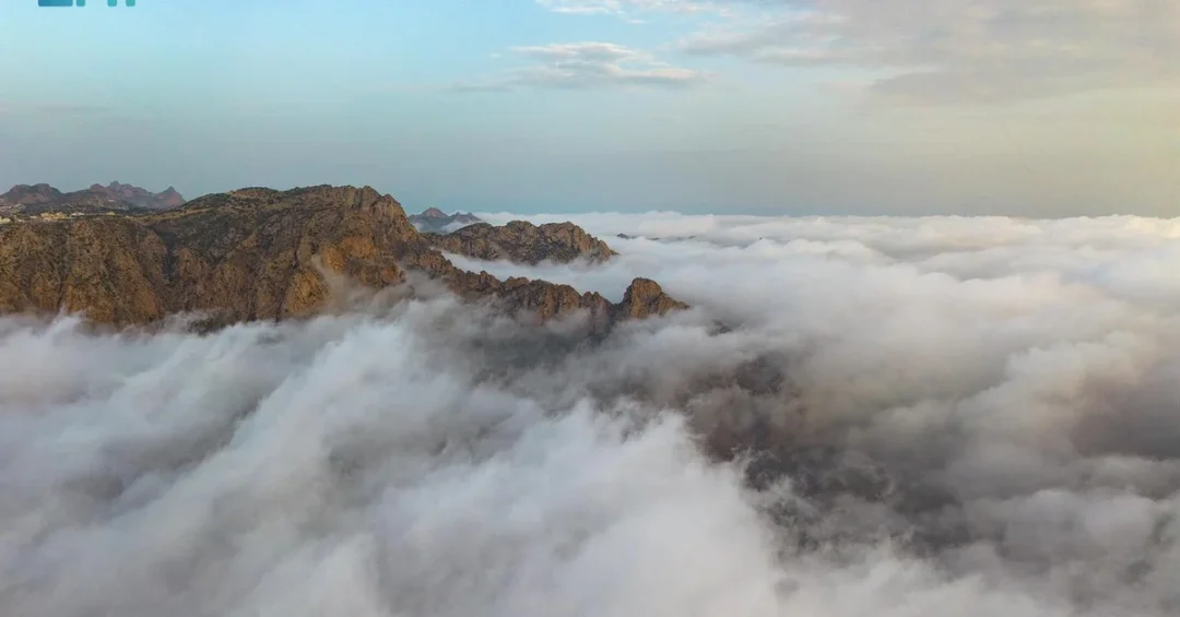 Taif: A Cloud-Kissed Oasis of Floral Delight in Saudi Arabia