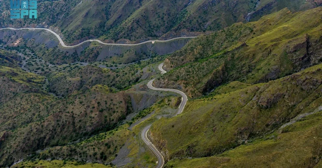 Mohammediyah Mountain Pass: A Natural Gem in Taif