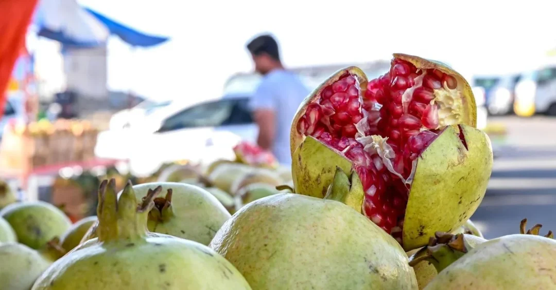 Autumn Brings Abundance of Fresh Local Fruits in Saudi Arabia