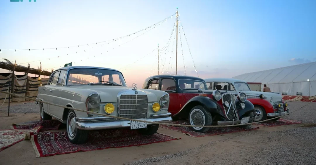 Classic Cars Steer Visitors Through History at Taif Camel Avenue Festival