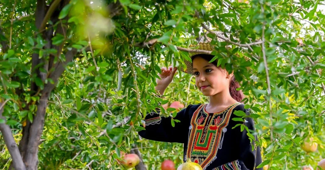 Pomegranate City: Al-Baha’s New Investment Destination