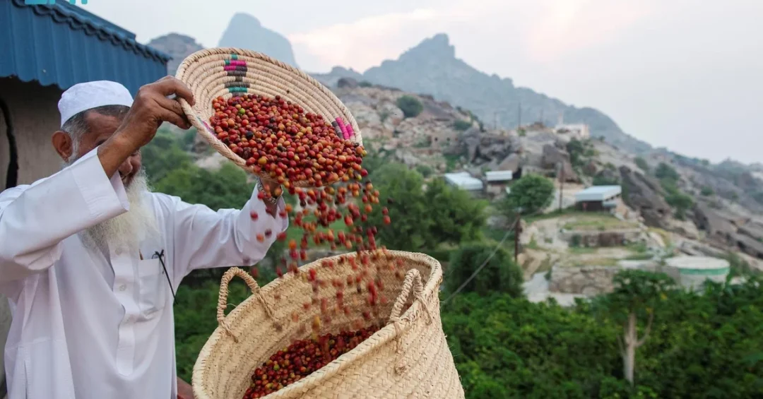 Saudi Arabia Celebrates International Coffee Day with Cultural and Economic Focus