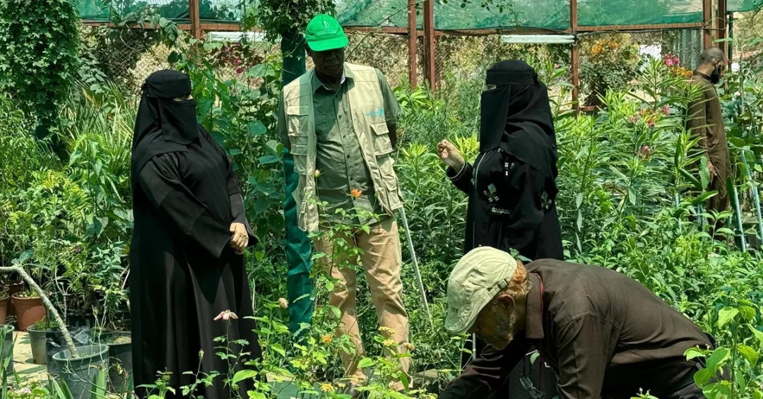NCVC and FAO Collaborate on Community Forest Development in Al-Baha