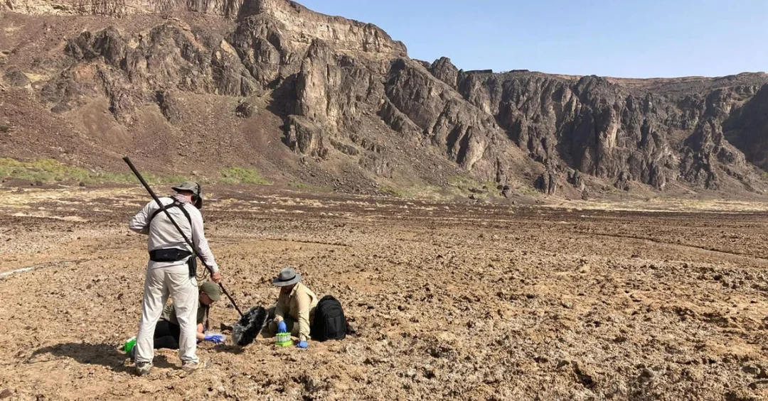 Saudi Crater Discovery Offers Clues for Life on Saturn’s Moon Enceladus