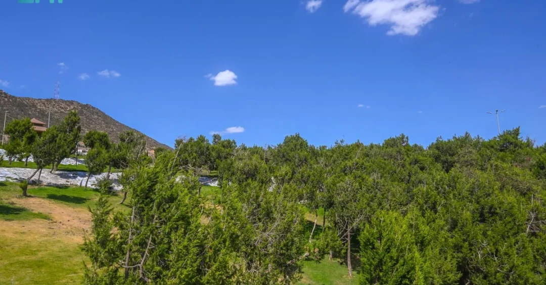 Al-Baha Region Enjoys Stunning Post-Rainfall Natural Beauty
