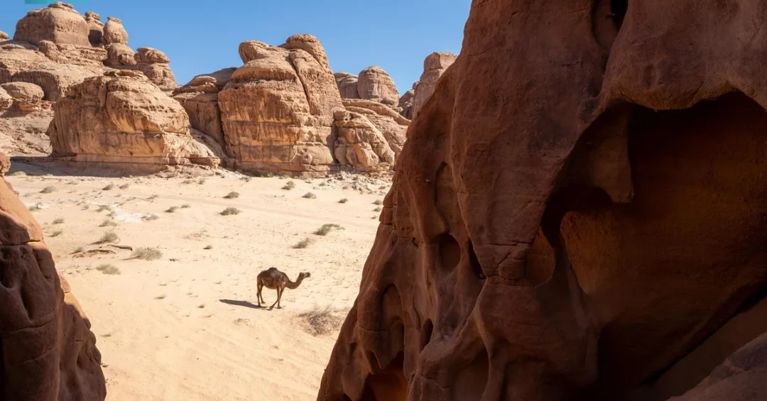 AlUla Releases First Annual Sustainability Report, Highlighting Vision 2030 Progress