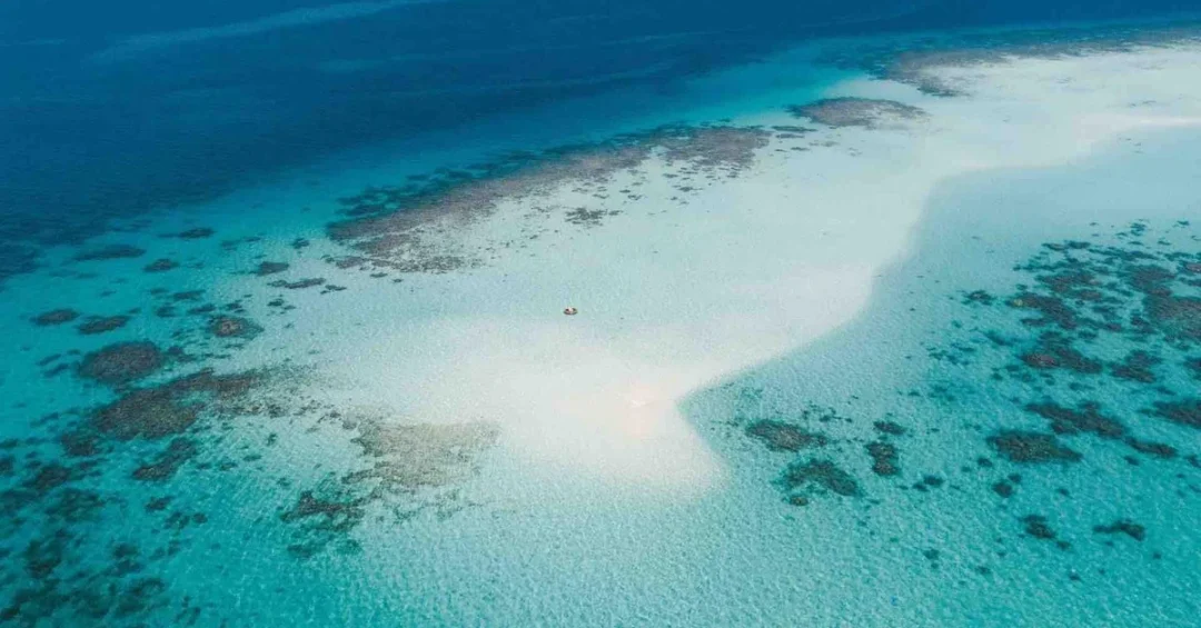Saudi Arabia’s Southern Coasts: A Pristine Coral Reef Haven