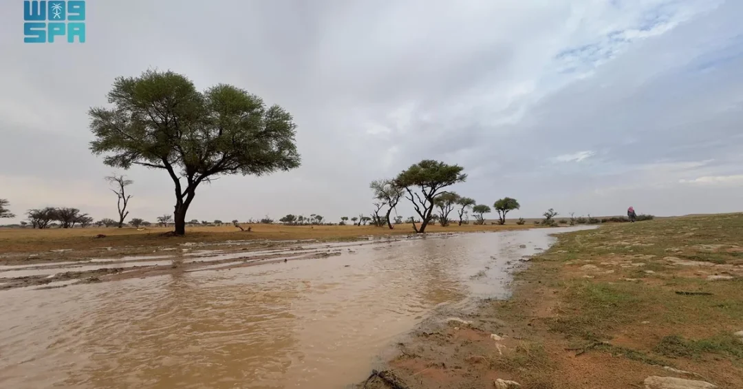 SPA Captures Scenes of Flowing Streams and Beautiful Weather in Rafha
