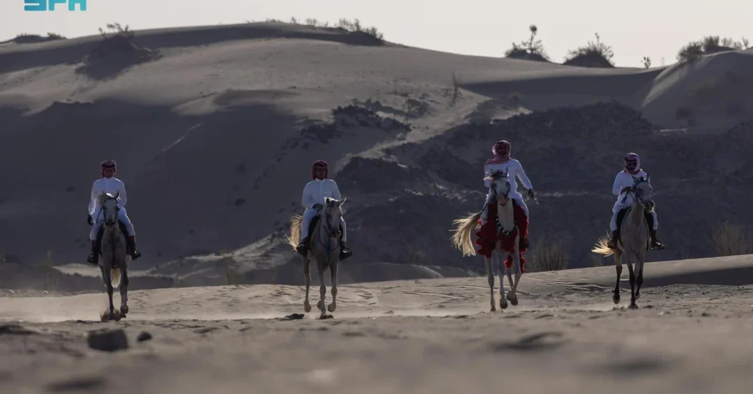 Equestrianism Gains Popularity Among Youth in Umluj, Boosting Quality of Life