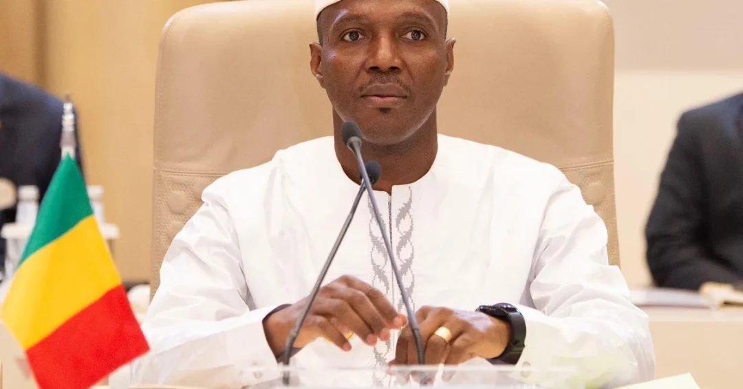 Mali Deputy PM Calls for Active Role Against Israeli Aggression at Riyadh Summit