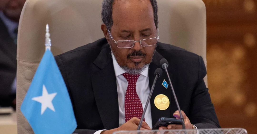 Somali President at Riyadh Summit Calls for Immediate Gaza Ceasefire