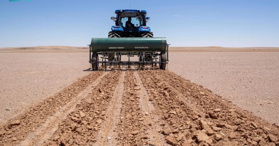 Saudi NCVC Releases 20 Tons of Seeds to Revive 15,000 Hectares of Rangelands