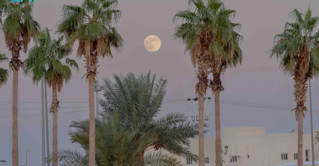 SPA Captures Stunning Images of Year’s Final Supermoon Over Saudi Arabia