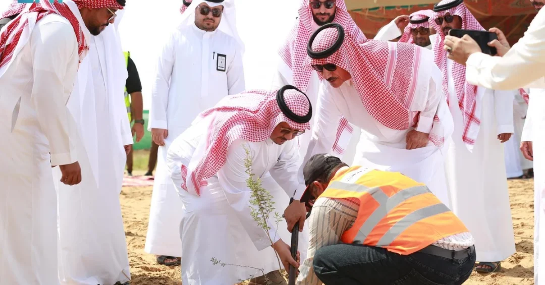 NCVC Launches 90,000-Tree Rehabilitation of Hali Wildlife Park in Saudi Arabia
