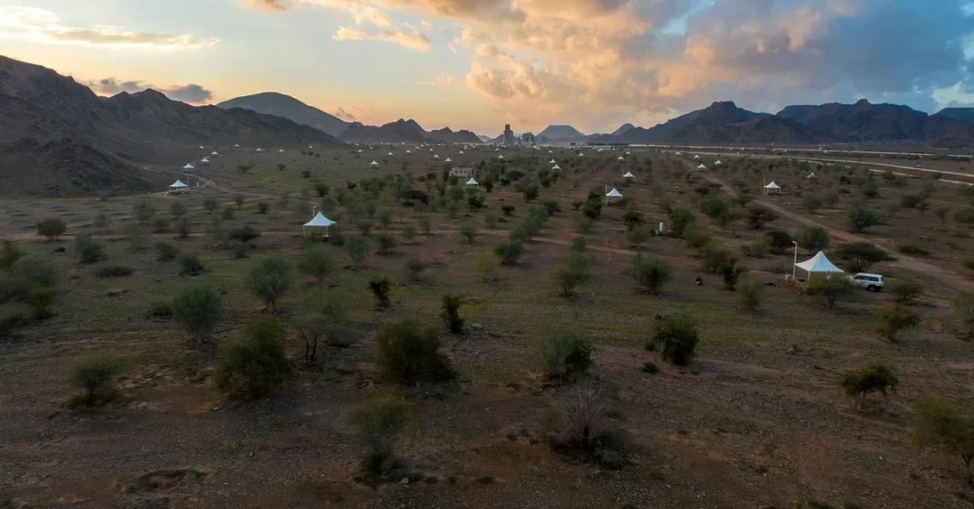 NCVC Opens Seasonal Investment Applications for Madinah Parks