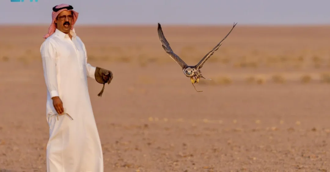 Saudi Arabia Nurtures Future Falconers to Preserve Heritage Tradition