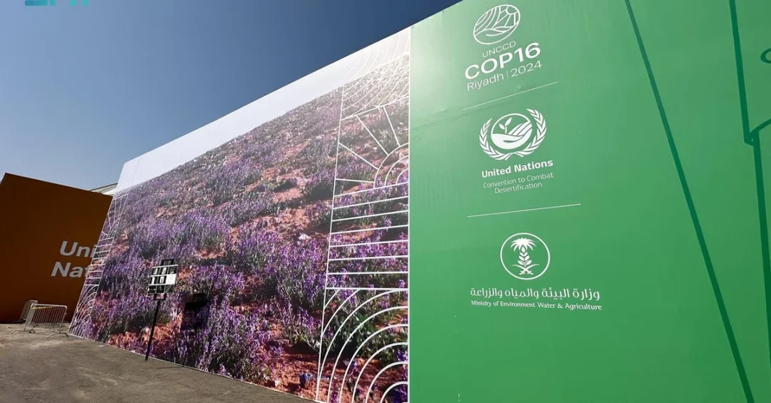 COP16 Riyadh: International Afforestation Forum Showcases Green Innovations