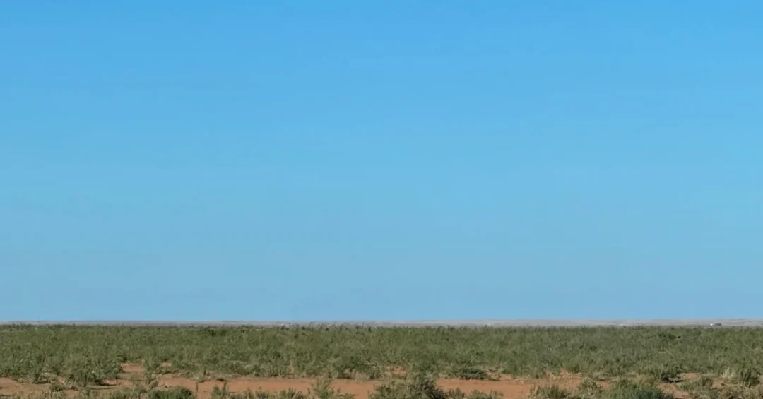 Saudi Press Agency Reports Vegetation Recovery in Nafud Lina Reserve