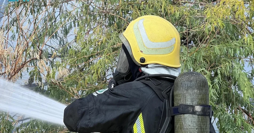 Saudi Civil Defense Leads Environmental Sustainability Efforts