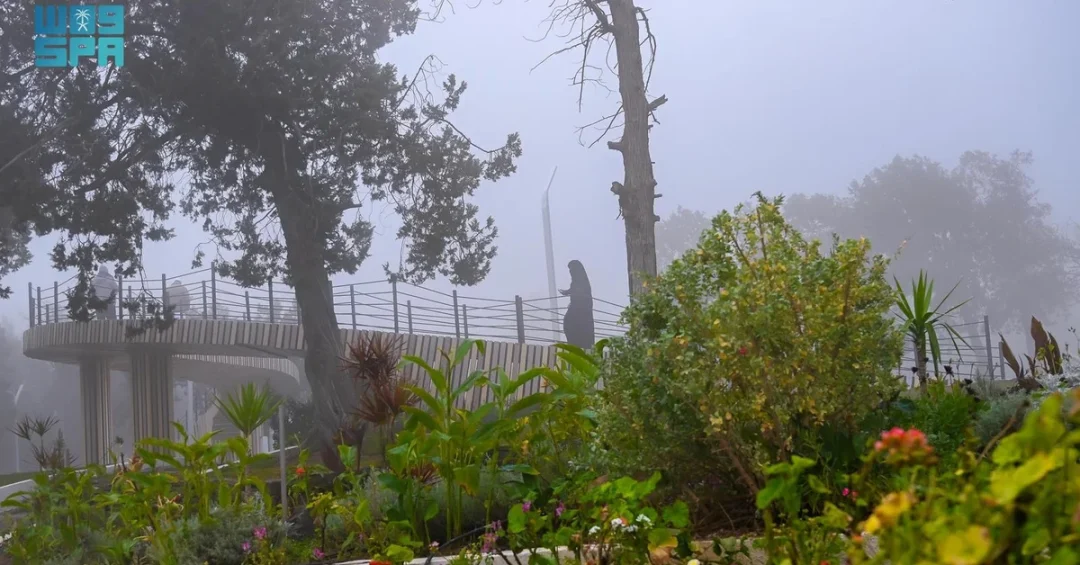 Fog Transforms Al-Baha Sarawat Mountains into Winter Wonderland