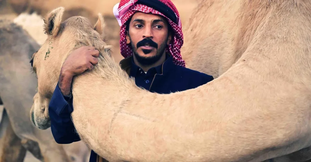 Camels in the Kingdom: An Enduring Man-Animal Bond Etched in Stone