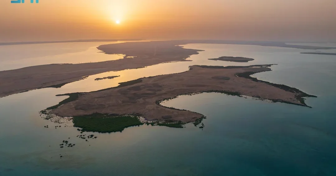 Jazan Hosts First Regional Arab Youth Forum on Biosphere Reserves