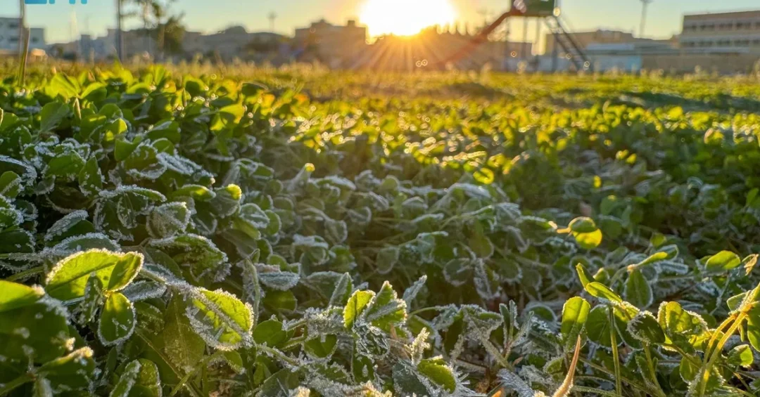 Severe Cold Wave Expected in Northern Saudi Arabia This Week