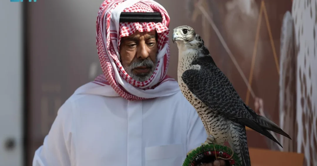 Fierce Competition for King Abdulaziz Cups on Day 15 of Falconry Festival