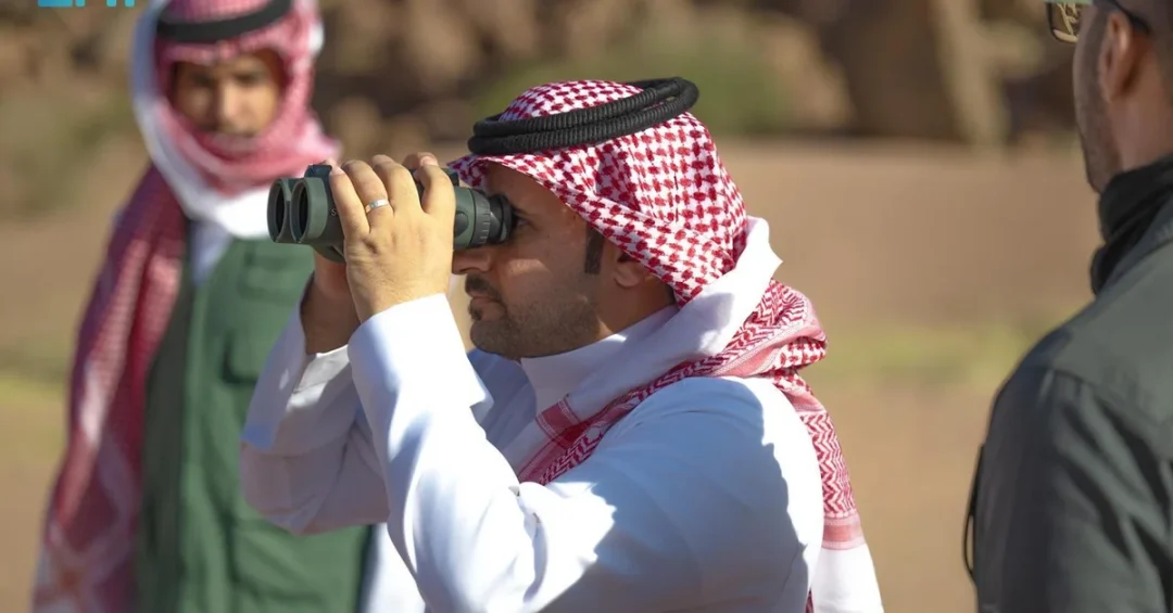 Saudi Arabia Restores Falcon Habitats at King Salman Royal Reserve