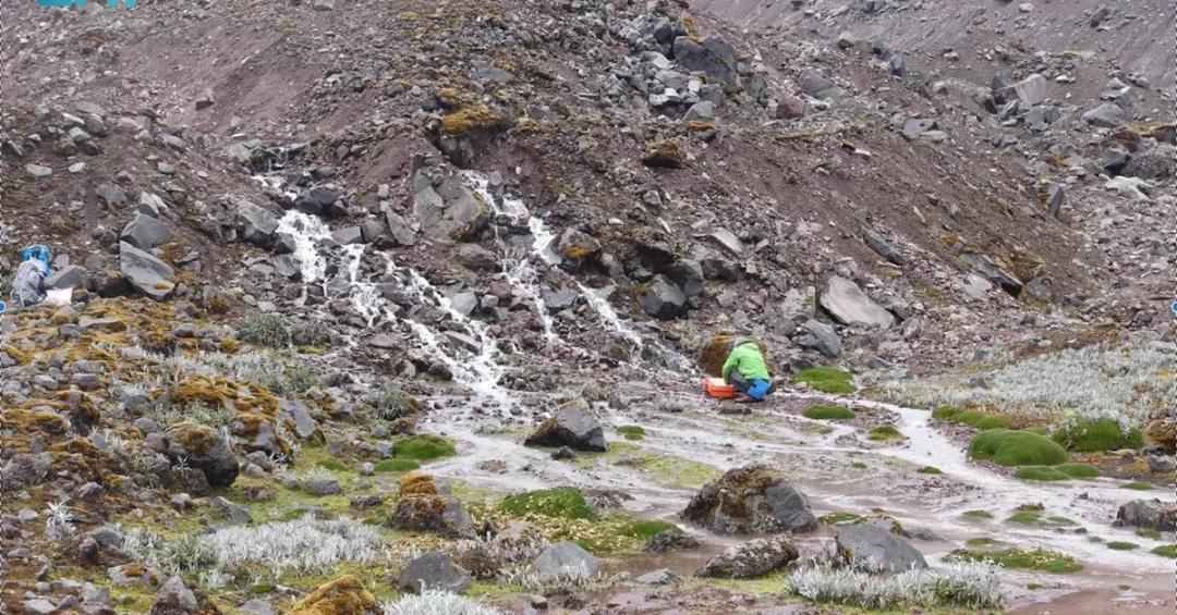 KAUST Leads Landmark Study on Microbiomes in Glacier-Fed Streams