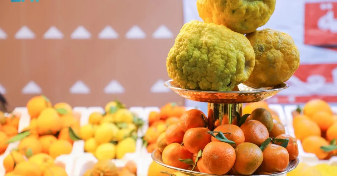 Ninth Citrus Festival in Al-Hariq Concludes with Record Participation