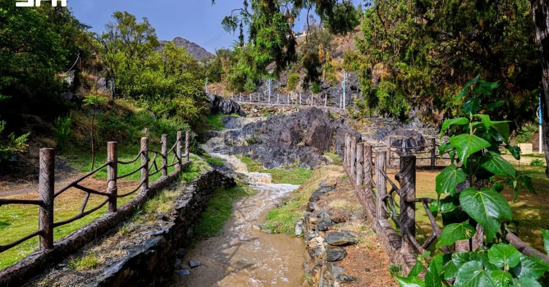 Rainfall and Hail Enhance Al-Baha’s Summer Tourism Appeal