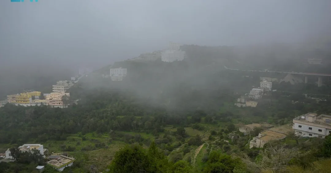 Al-Baha Experiences Seasonal Rainfall, Revitalizing Landscape and Water Resources