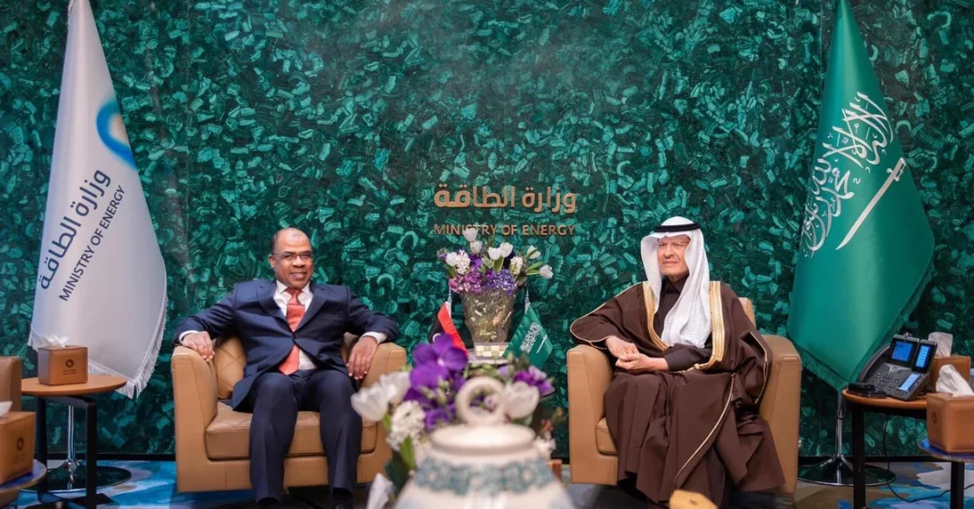 Saudi Energy Minister Meets Libyan Counterpart to Boost Energy Cooperation