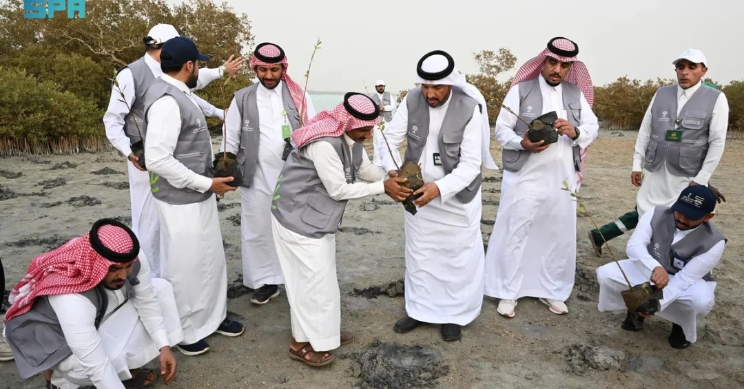 NCVC and ASDA Launch Mangrove Restoration Initiative in Asir Region