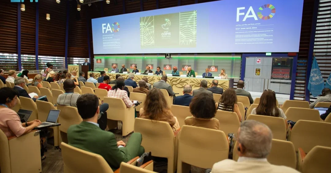 Saudi Arabia Showcases Environmental Leadership at FAO Event in Rome