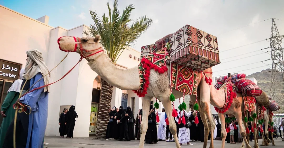 Camel Caravan at Summer of Hira Showcases Saudi Heritage