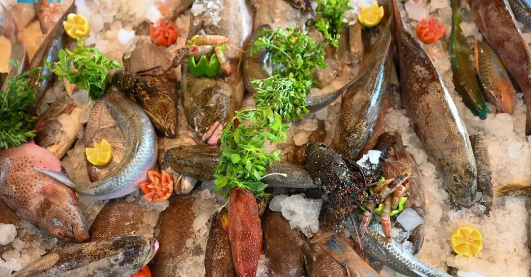 Haql Fish Market Sees Surge in Grouper Sales During Summer Season