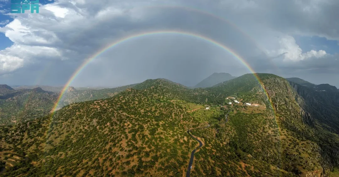 Saudi Arabia Preserves Ancient Juniper Forests in Sarawat Mountains