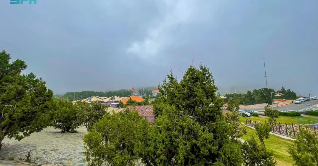 Perennial Trees Enhance Al-Baha Region Natural Beauty After Rains