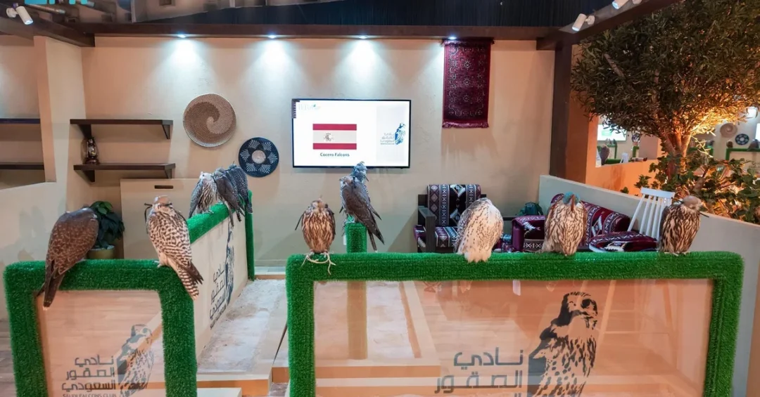 Spanish Cocero Falcons Farm Debuts at Saudi Falcon Auction