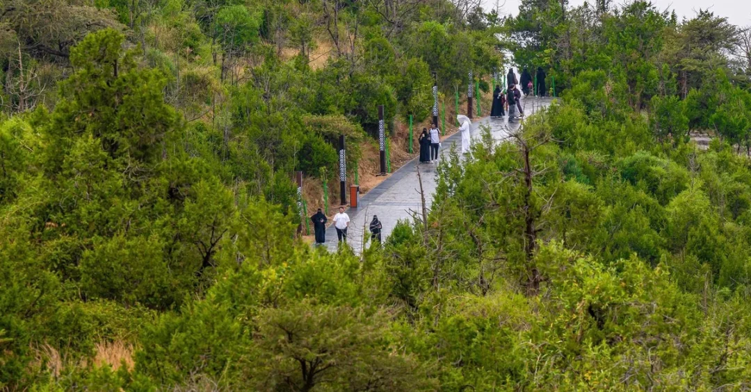 Al-Baha Fog and Rain Showers Attract Nature Lovers This Summer