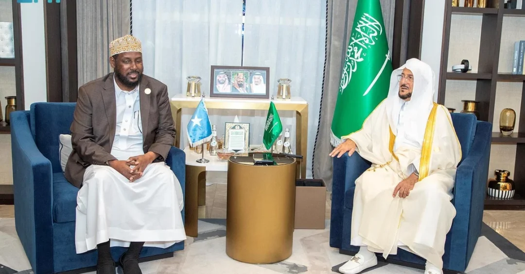 Saudi Minister Meets Somali, Malian Counterparts to Promote Moderation