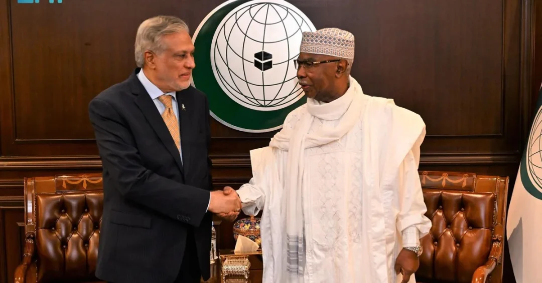 OIC Secretary General Meets Pakistani Foreign Minister in Jeddah