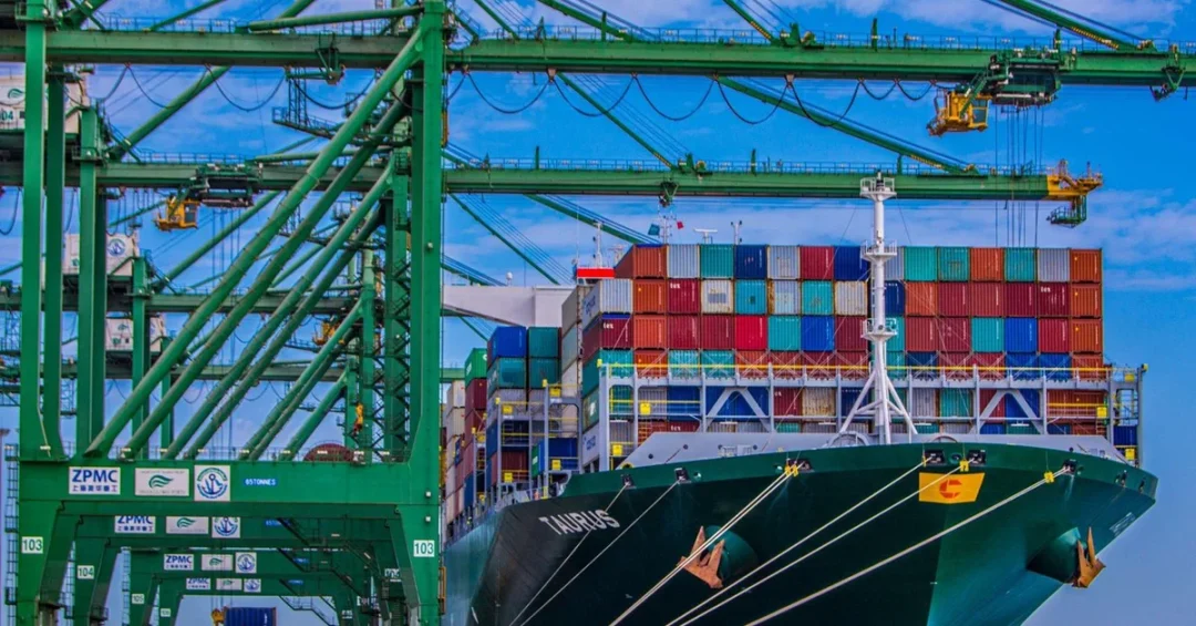 Mawani: Cargo Tonnage Up 9.11% in July 2024, Livestock Imports Surge