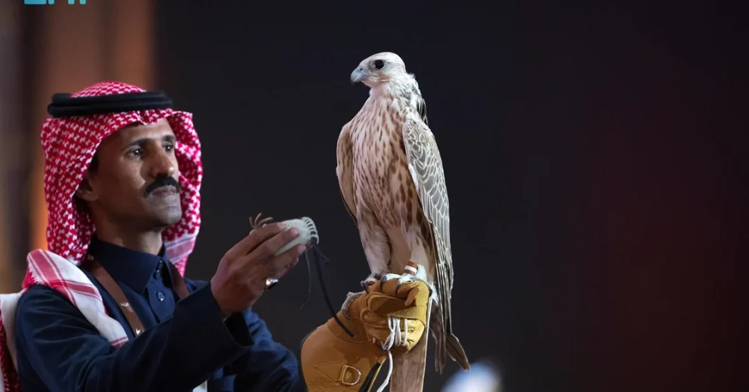 International Falcon Breeders Auction Bidding Begins in Riyadh